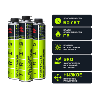 ПЕНА ПРОФ. ВСЕСЕЗОН. PRO-65 TRIS 1000МЛ ПМ02 ПЕНА ПРОФ. ВСЕСЕЗОН. PRO-65 TRIS 1000МЛ ПМ02