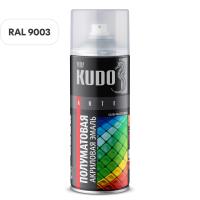 КРАСКА АЭРОЗОЛЬНАЯ KUDO РАЗНОЦВЕТНАЯ КРАСКА АЭРОЗОЛЬНАЯ KUDO РАЗНОЦВЕТНАЯ