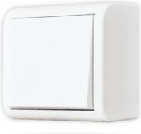 ВЫКЛЮЧАТЕЛЬ 1-КЛАВИШНЫЙ БЕЛЫЙ АНУРА